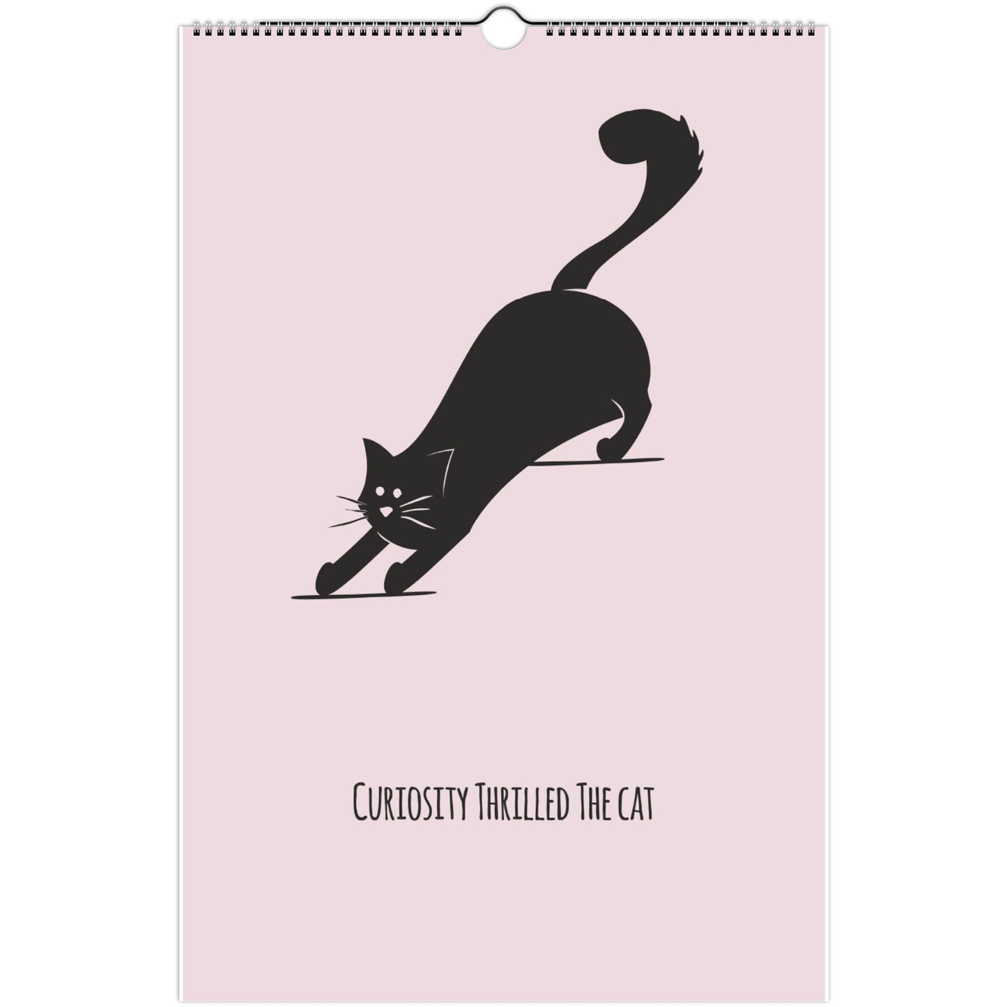 Life Advice from Cats Wall Calendar 2024 (US & CA)